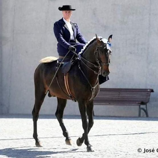 Horse Riding Country House Vila Franca de Xira Kültér fotó