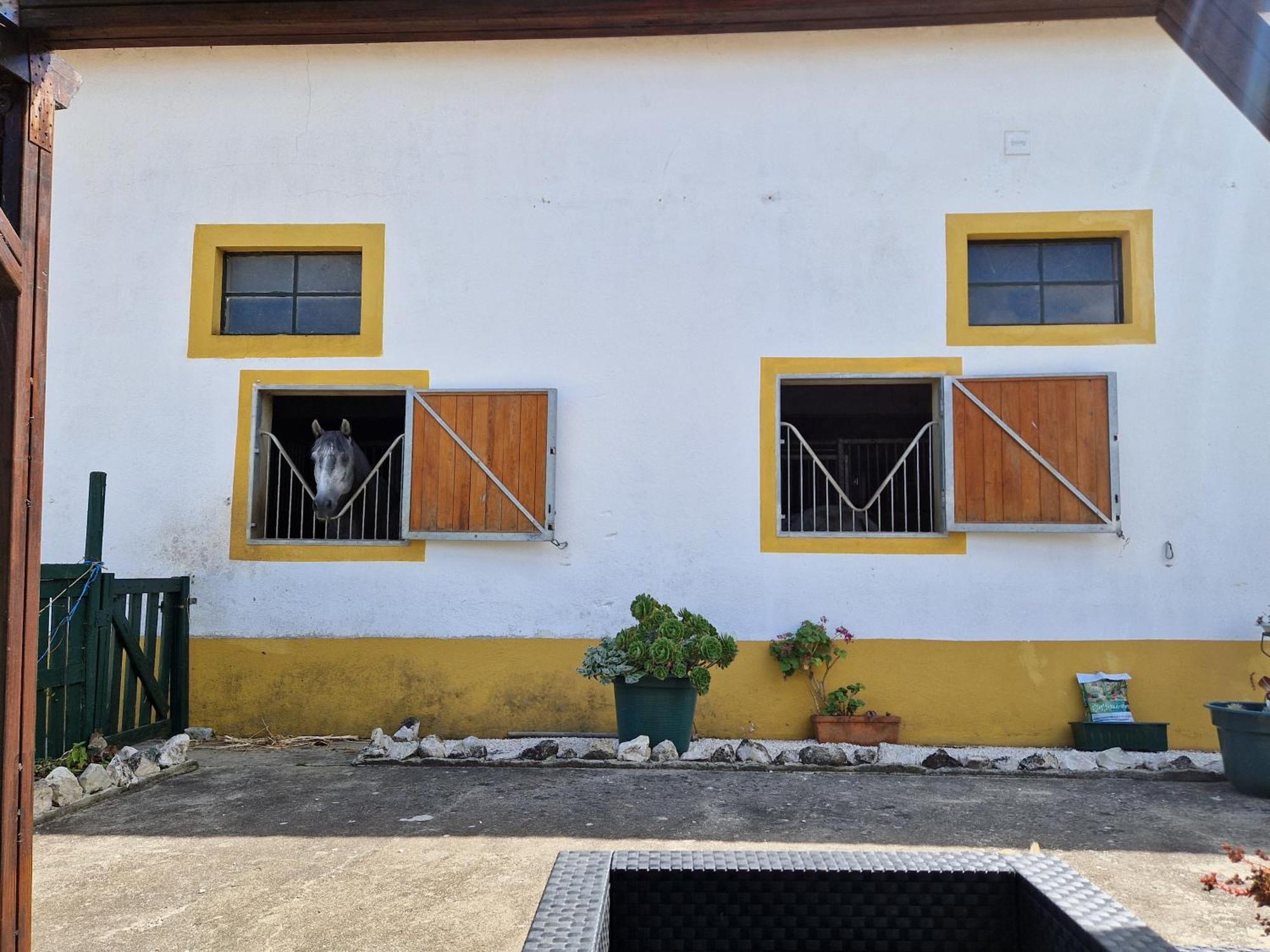 Horse Riding Country House Vila Franca de Xira Kültér fotó