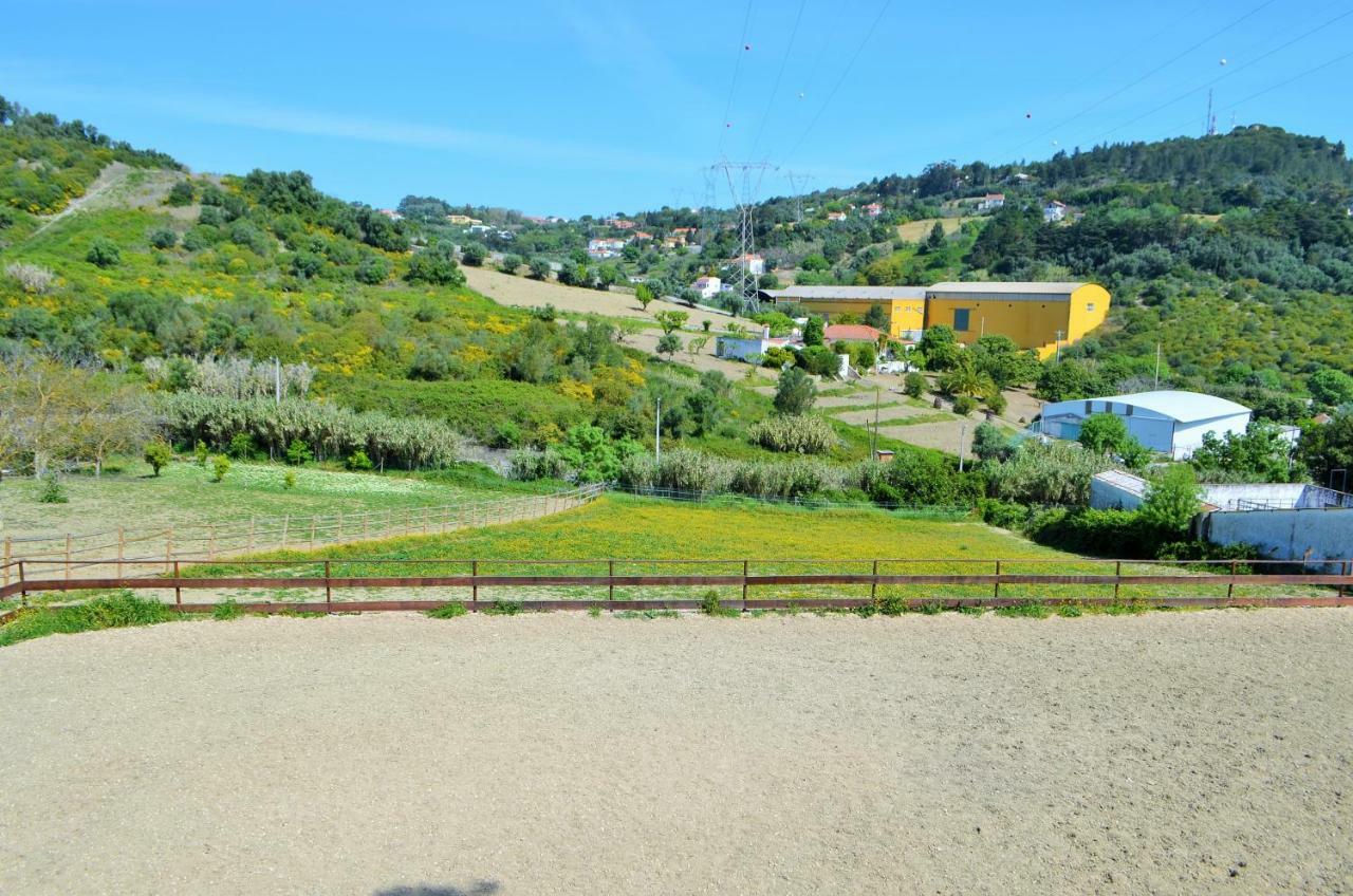 Horse Riding Country House Vila Franca de Xira Kültér fotó